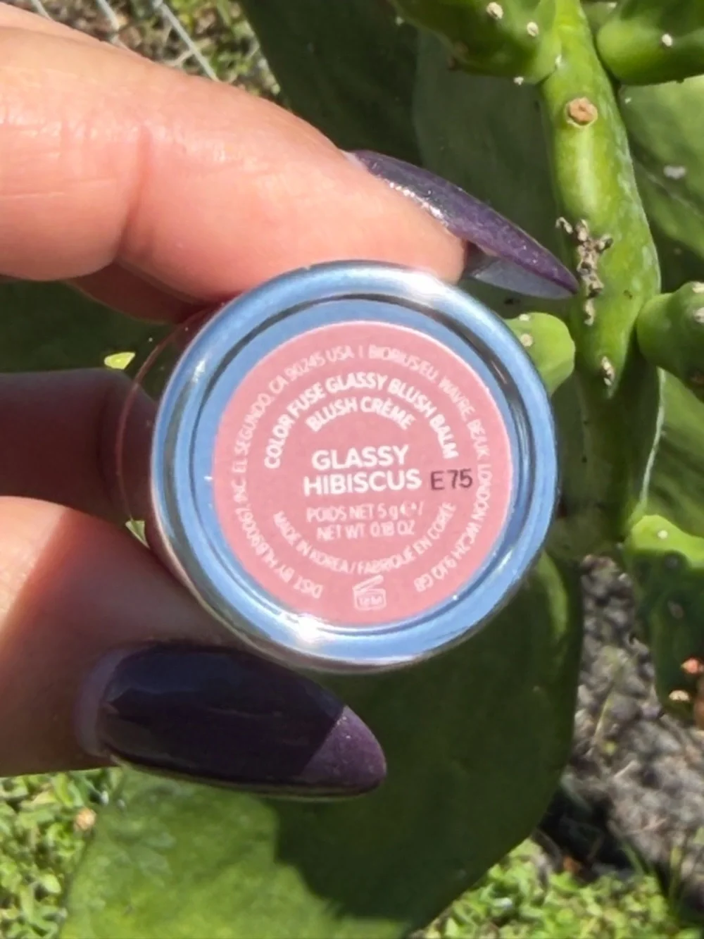 HAUS LABS By Lady Gaga Blush Balm Stick In Gassy Hibiscus (Deep Mauve)